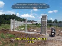 Tấm Tường Rào Vân Đá T5