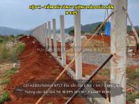 Cột hàng rào H BTCT đúc sẵn