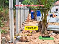 Cột hàng rào H BTCT đúc sẵn