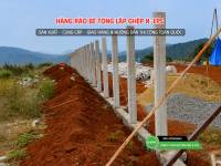 Cột hàng rào H BTCT đúc sẵn
