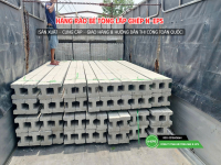 Cột hàng rào H BTCT đúc sẵn