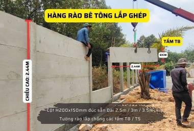 LÀM HÀNG RÀO