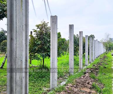 Cung Cấp Cột H Bê Tông Đúc Sẵn Chất Lượng Cao, Giá Tốt Nhất