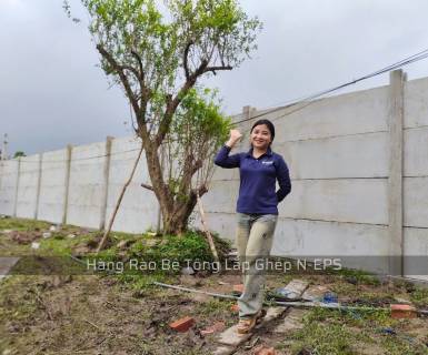 Hàng Rào Bê Tông Lắp Ghép Giá Bao Nhiêu 1m2