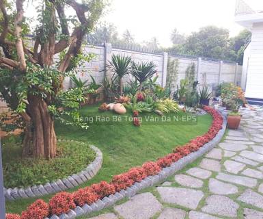  Hàng rào bê tông truyền thống so với hàng rào lắp ghép đúc sẵn N-EPS