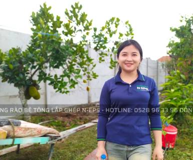 Xây hàng rào giá rẻ bền vững với tấm bê tông nhẹ N-EPS