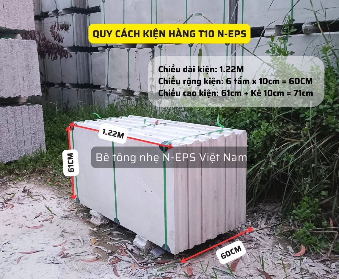 Tấm tường bê tông nhẹ T10
