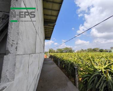 Biệt thự vườn 200m2 sàn tại Tiền Giang 