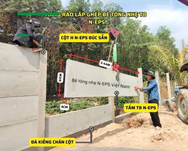 Tổng Hợp Mẫu Hàng Rào Bê Tông Nhẹ T8 N-EPS