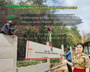 Tổng Hợp Mẫu Hàng Rào Bê Tông Nhẹ T8 N-EPS