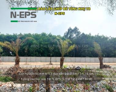 Tổng Hợp Mẫu Hàng Rào Bê Tông Nhẹ T8 N-EPS