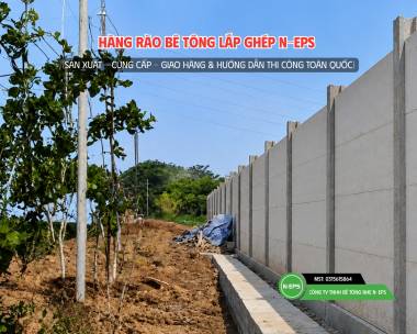 Tổng Hợp Mẫu Hàng Rào Bê Tông Nhẹ T8 N-EPS