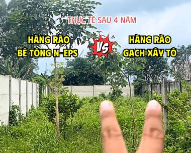 Hàng Rào Bê Tông Nhẹ Tại Củ Chi Cao 2.44M